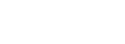 Pro Smart Type Zone Logo